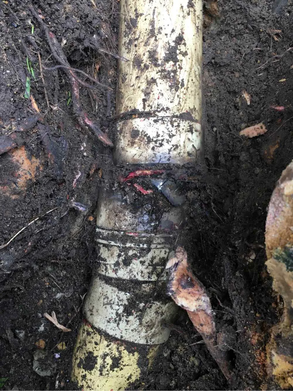 Cracked and deteriorated pipe exposed in a trench requiring emergency repair on the Central Coast