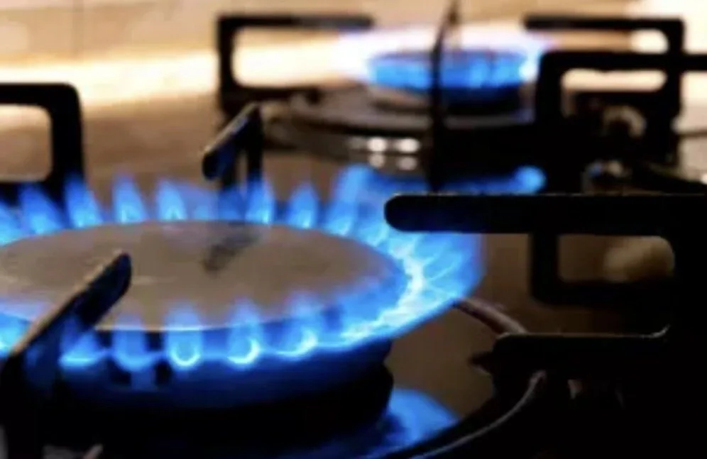 Gas cooktop burners with blue flames representing gas fitting services on the Central Coast